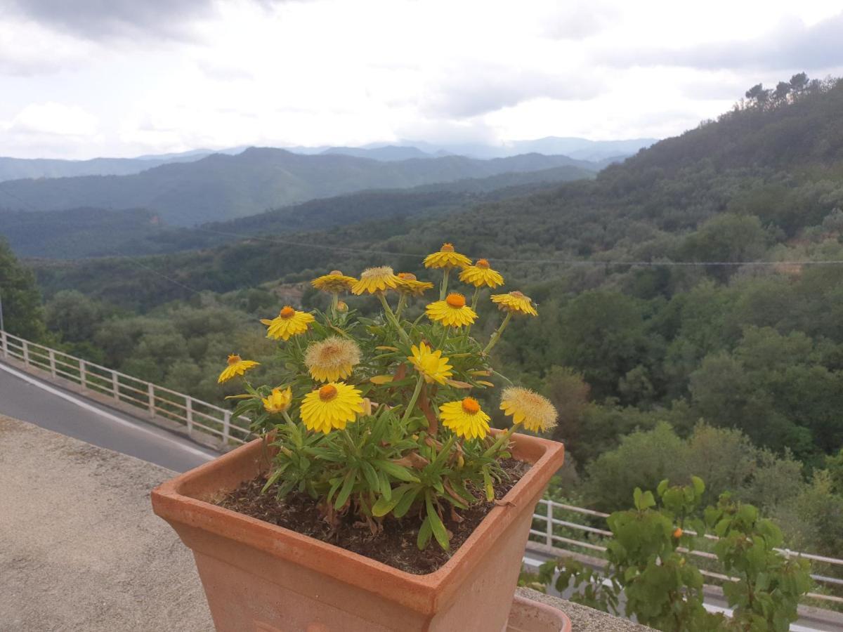 Bed & Breakfast Ca' Di Vissai Arnasco Bagian luar foto