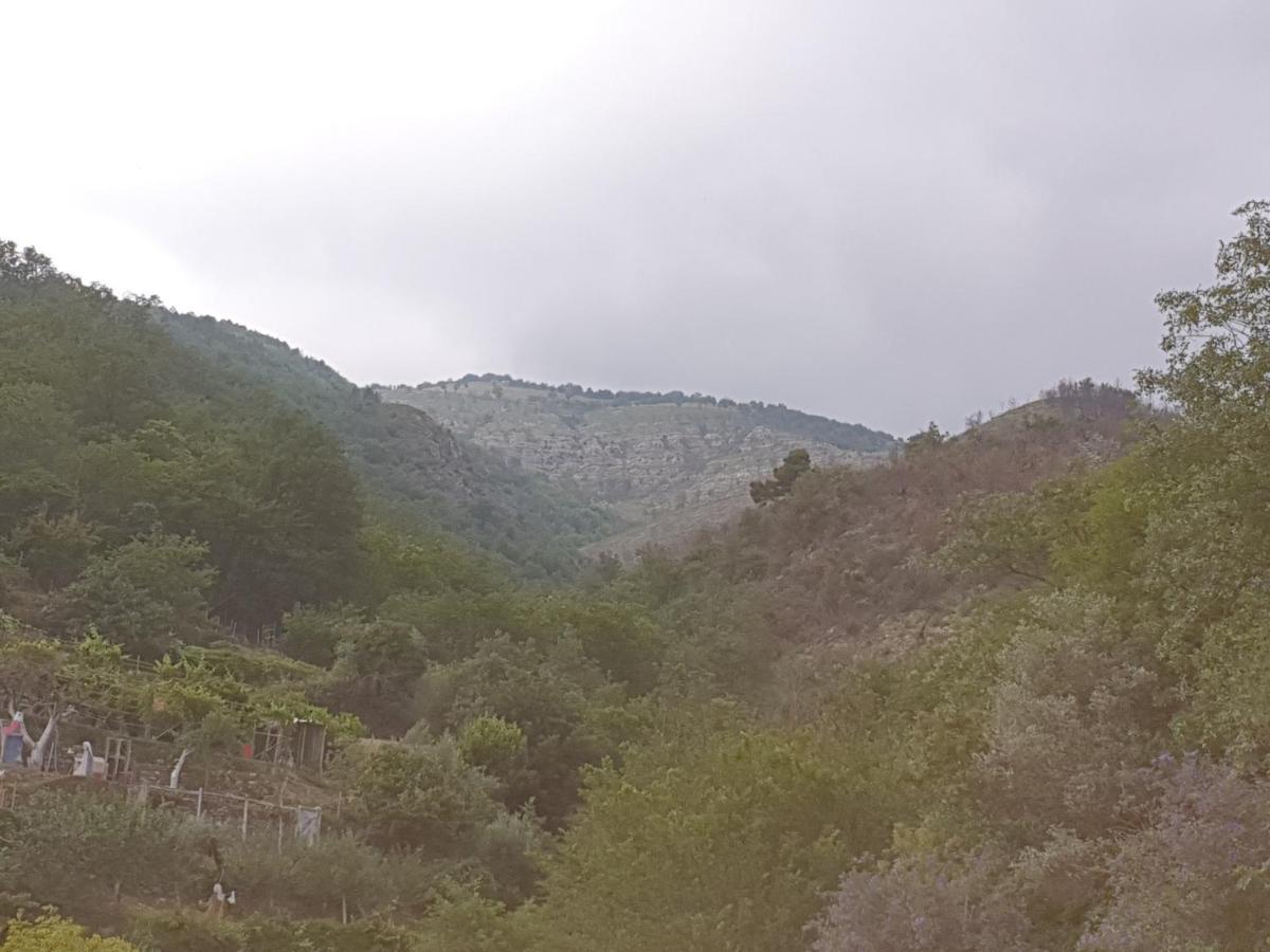 Bed & Breakfast Ca' Di Vissai Arnasco Bagian luar foto