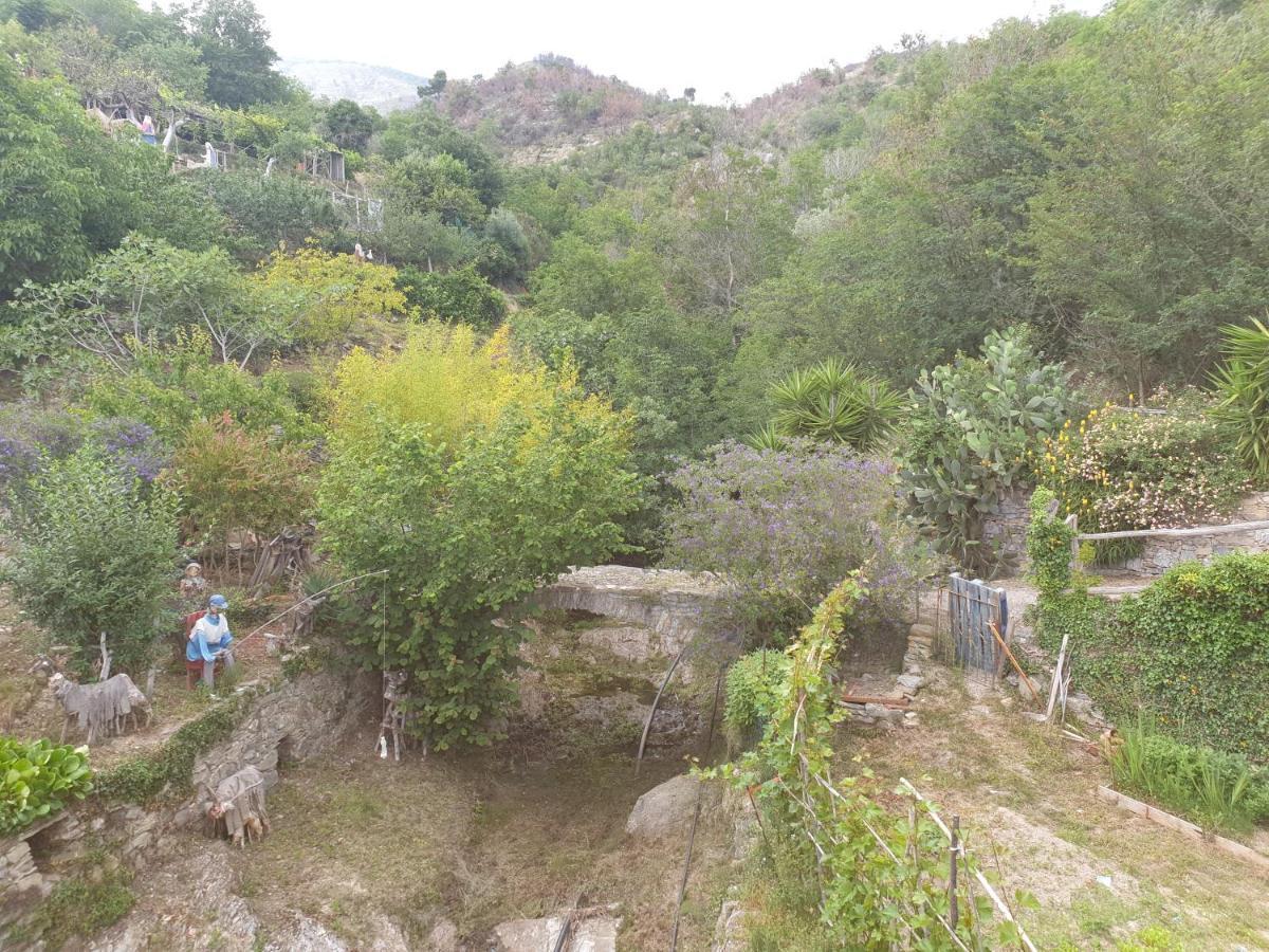Bed & Breakfast Ca' Di Vissai Arnasco Bagian luar foto
