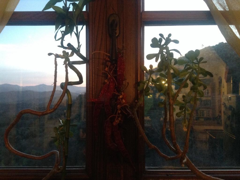 Bed & Breakfast Ca' Di Vissai Arnasco Bagian luar foto