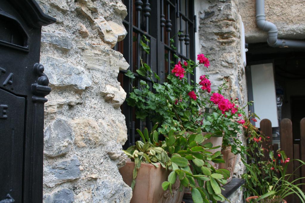Bed & Breakfast Ca' Di Vissai Arnasco Bagian luar foto