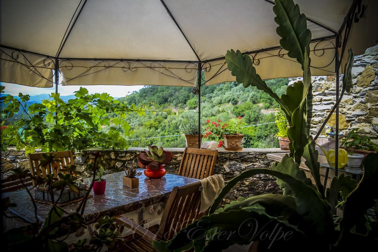 Bed & Breakfast Ca' Di Vissai Arnasco Bagian luar foto
