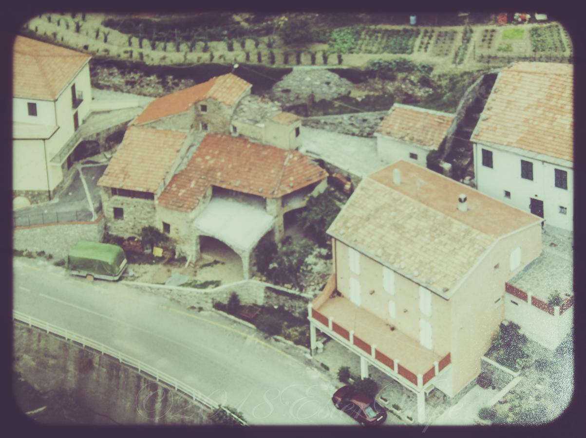 Bed & Breakfast Ca' Di Vissai Arnasco Bagian luar foto